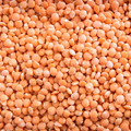 Lentils