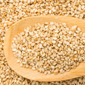Sesame