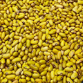 Yellow Beans